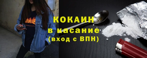 мдпв Каменка