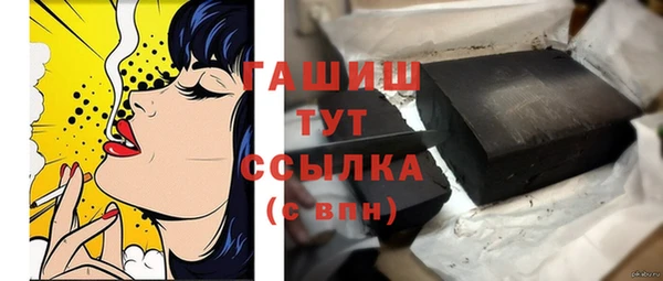 мдпв Каменка