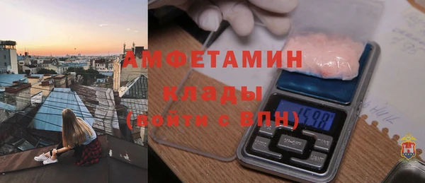 мдпв Каменка