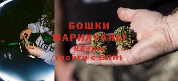 мдпв Каменка