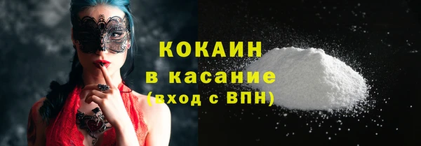 мдпв Каменка