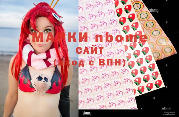 мдпв Каменка