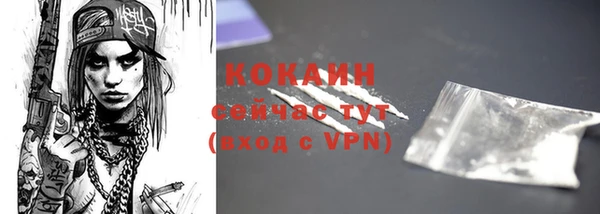 мдпв Каменка