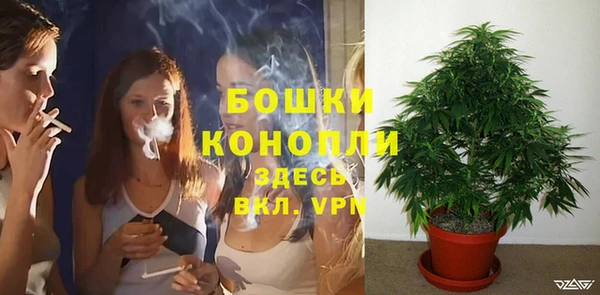 MESCALINE Каменногорск