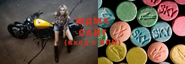 мдпв Каменка