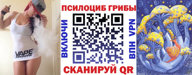 Галлюциногенные грибы Cubensis  цены   Луга 