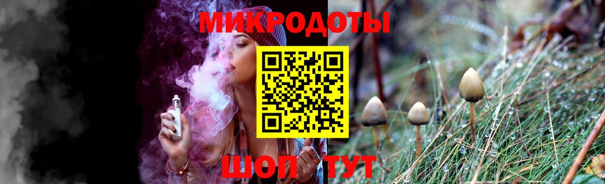Луга  Псилоцибиновые грибы Psilocybine cubensis  Вход с VPN 